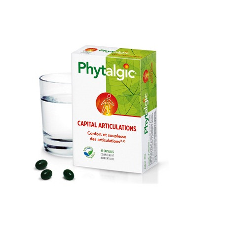 Phytalgic boite de 90. Phytalgic boite de 90.