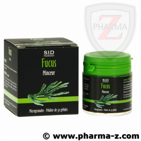 Sidn Fucus Sidn Fucus