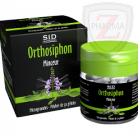 Sidn Orthosiphon Sidn Orthosiphon