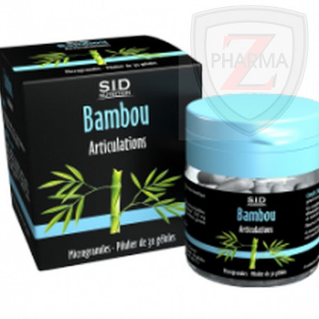Sidn Bambou Sidn Bambou