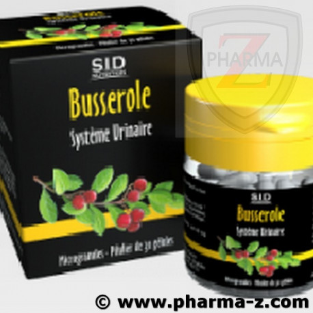 Sidn Busserole Sidn Busserole