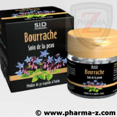 Sidn Bourrache Sidn Bourrache