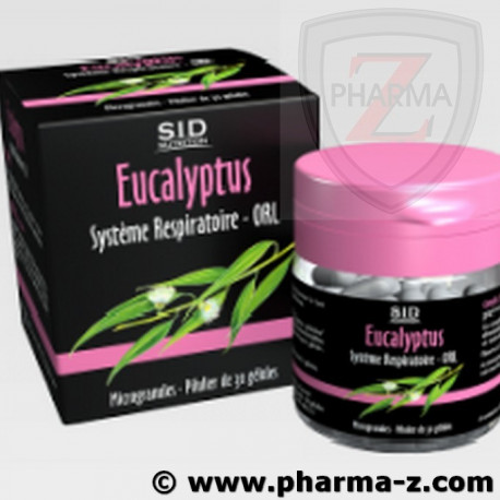 Sidn Eucalyptus Sidn Eucalyptus